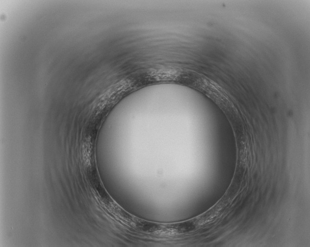 X0000061110604200512091819