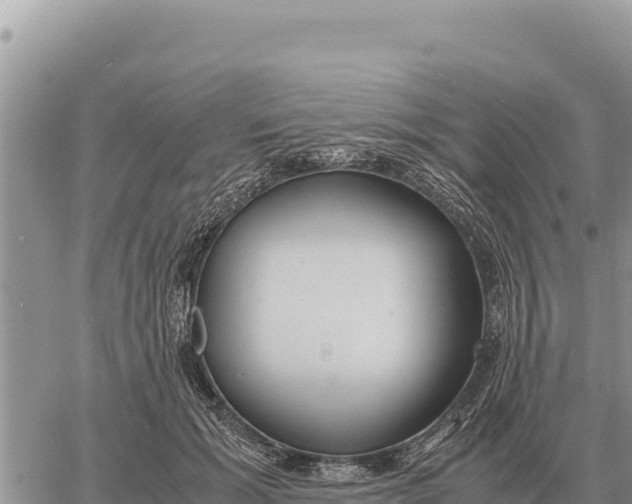 X0000061110605200512091819