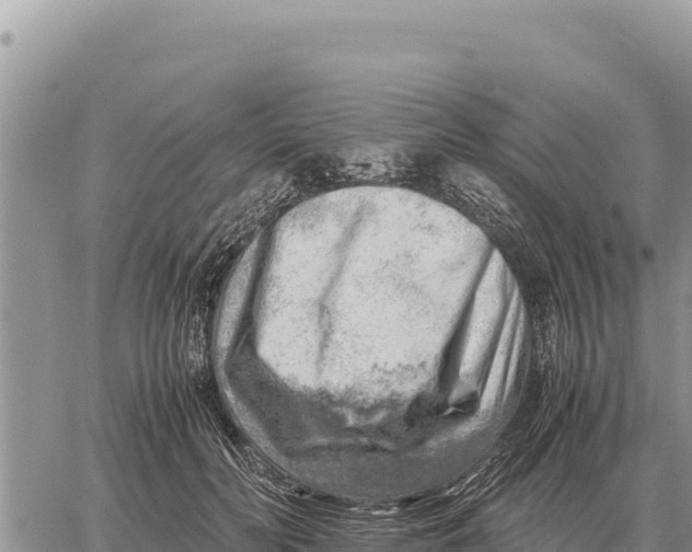 X0000061110606200512091819