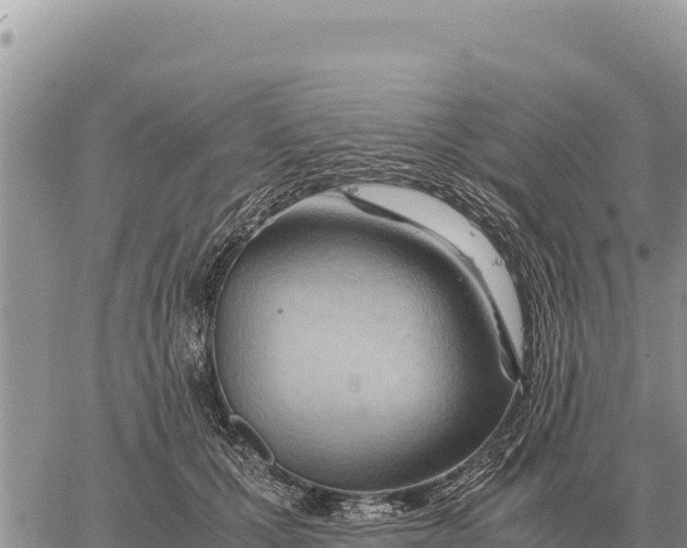 X0000061110607200512091819