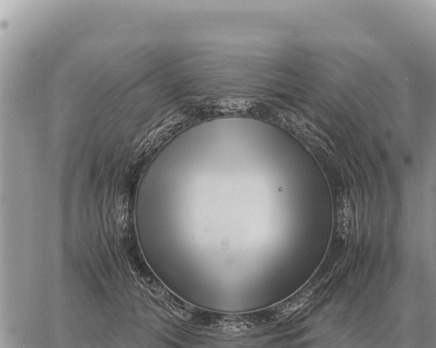 X0000061110608200512091819