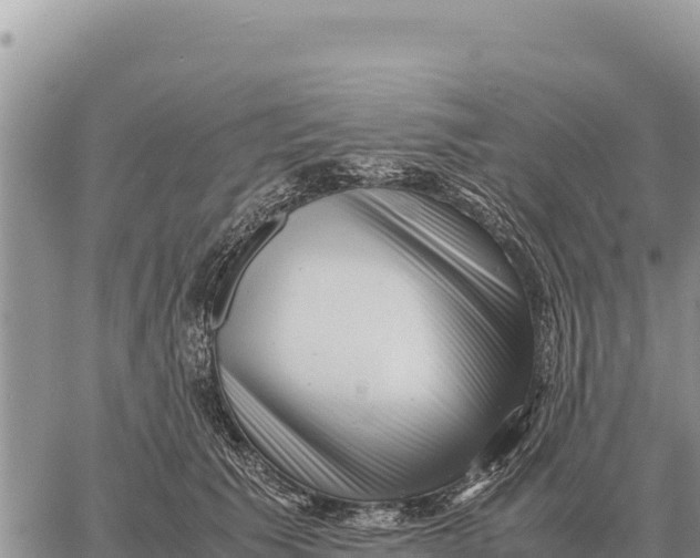 X0000061110609200512091819