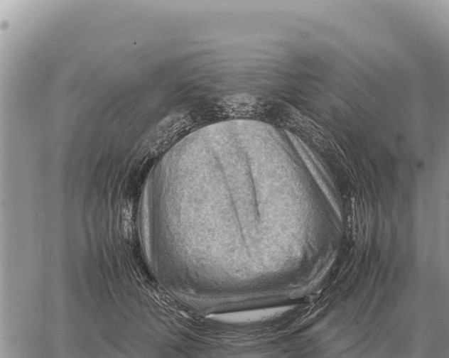 X0000061110610200512091819