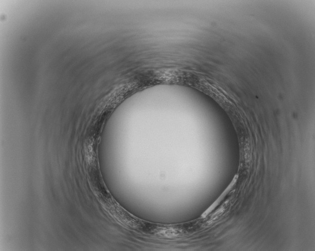 X0000061110611200512091819