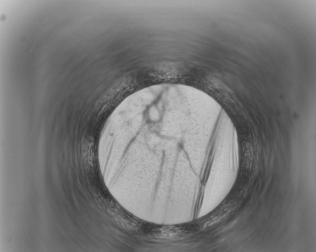 X0000061110612200512091819