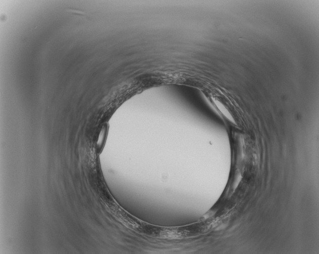 X0000061110613200512091819