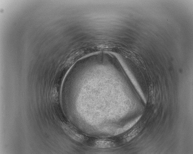 X0000061110614200512091819