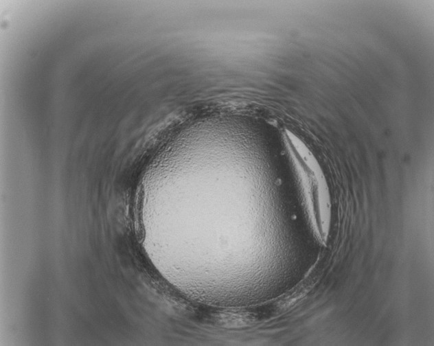 X0000061110615200512091819