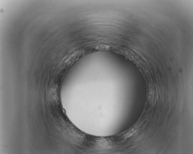 X0000061110616200512091819