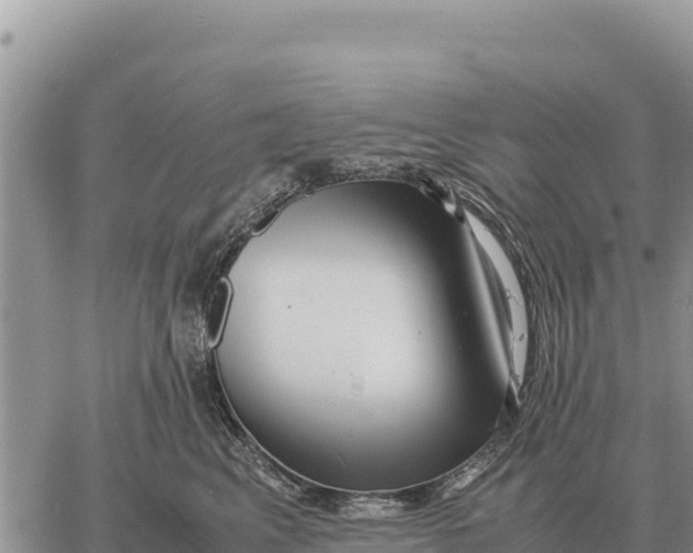 X0000061110617200512091819