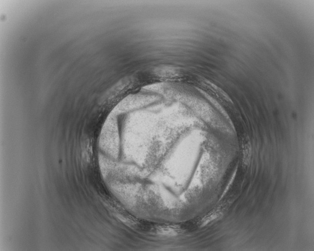 X0000061110618200512091819