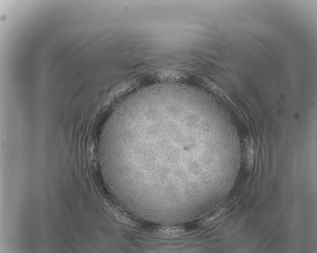 X0000061110619200512091819