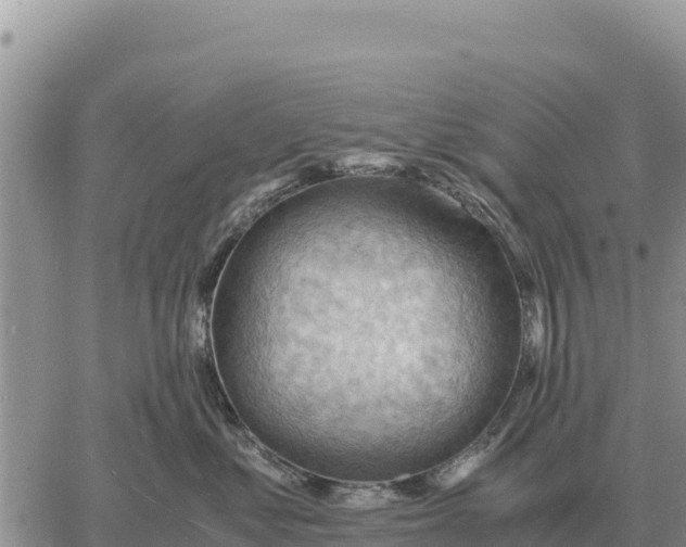 X0000061110621200512091819