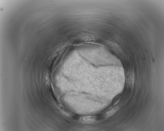 X0000061110622200512091819