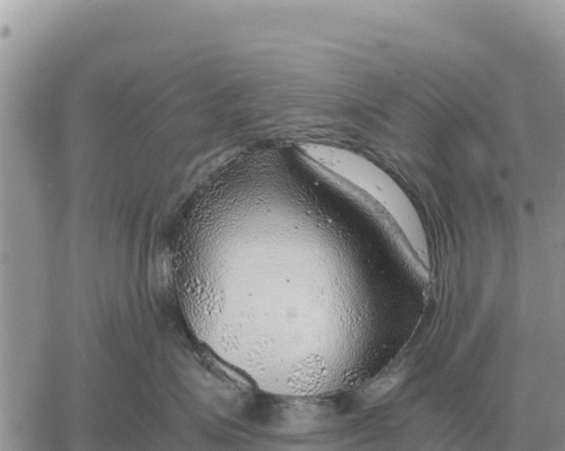 X0000061110623200512091819