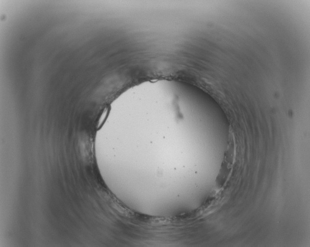 X0000061110624200512091819