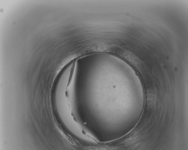 X0000061110626200512091818