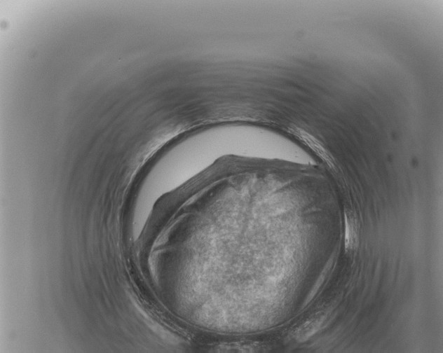 X0000061110627200512091818