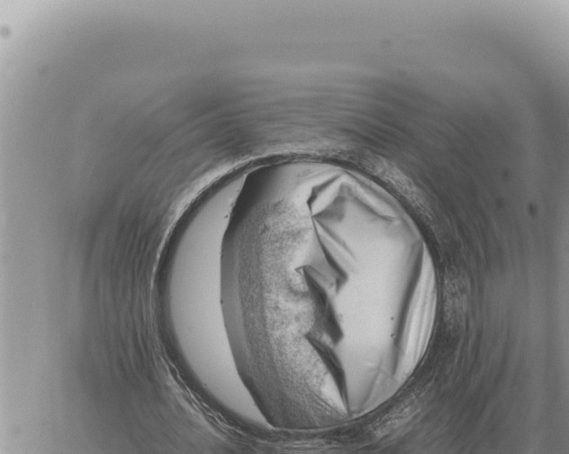 X0000061110628200512091818