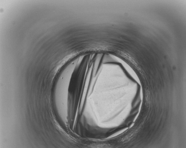 X0000061110629200512091818