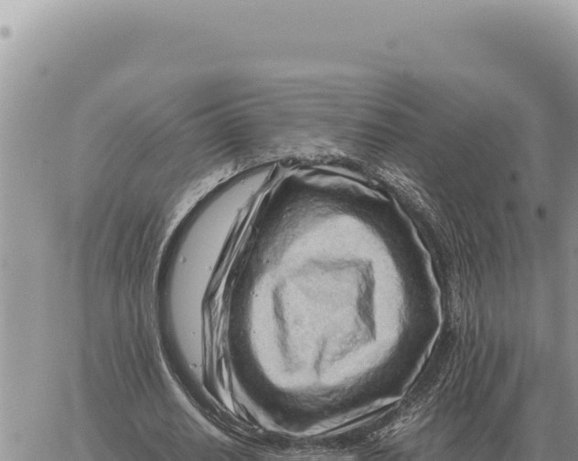 X0000061110630200512091818