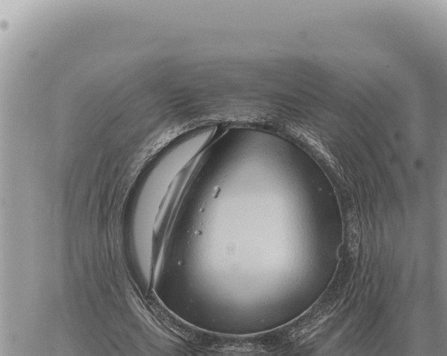 X0000061110631200512091818