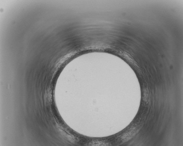 X0000061110632200512091818