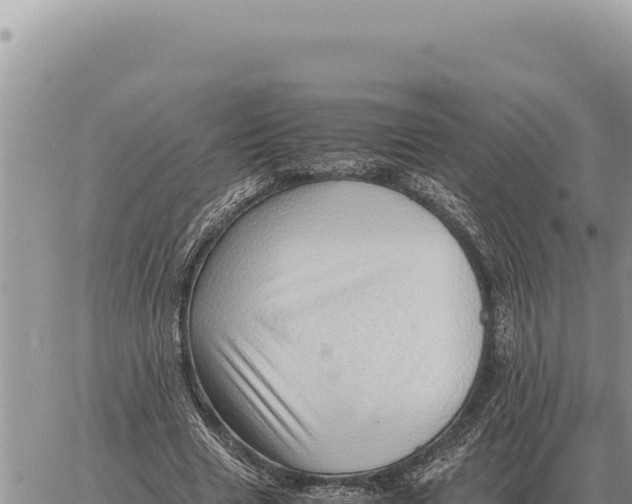 X0000061110633200512091818