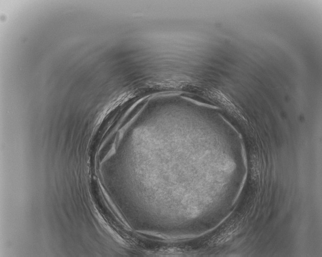 X0000061110634200512091818