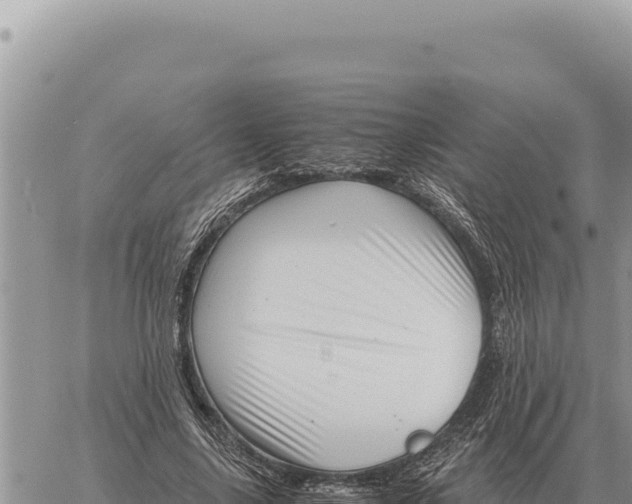 X0000061110635200512091818