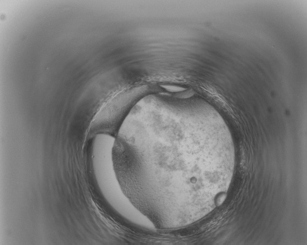 X0000061110636200512091818