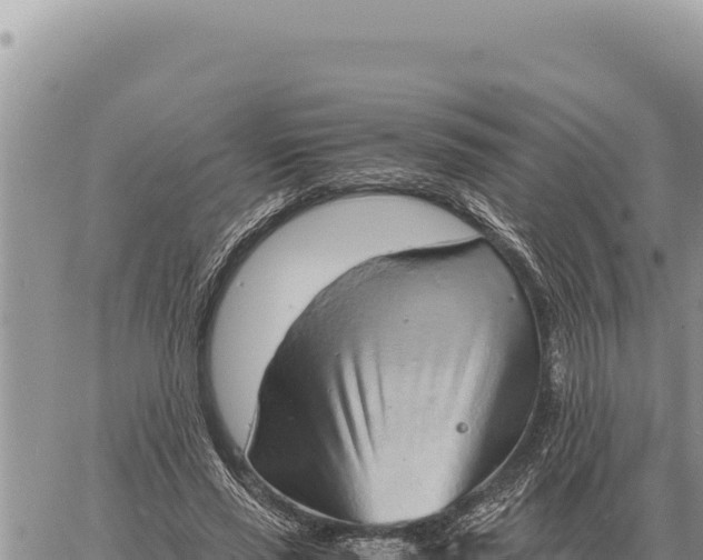 X0000061110637200512091818