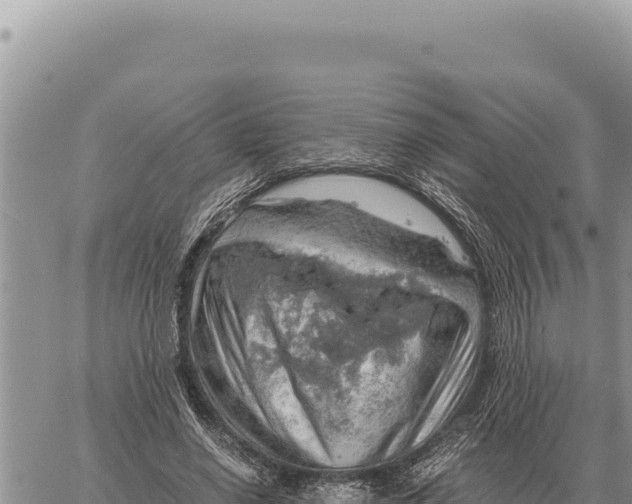 X0000061110638200512091818