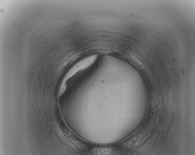 X0000061110639200512091818