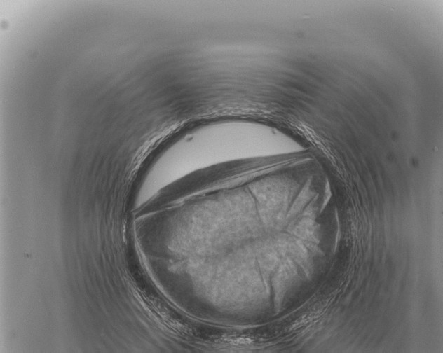 X0000061110640200512091818