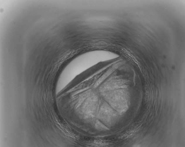 X0000061110641200512091818