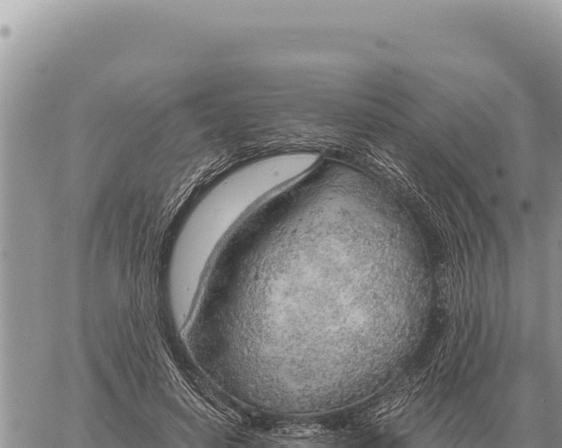 X0000061110642200512091818