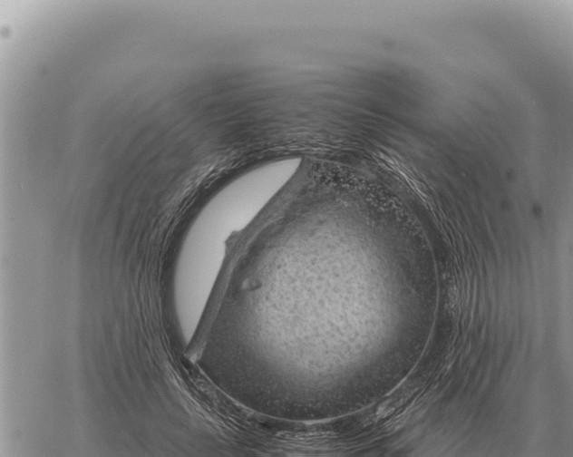 X0000061110643200512091818