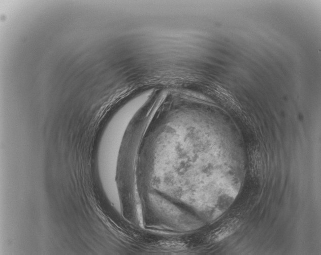 X0000061110644200512091818