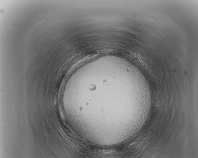 X0000061110645200512091818