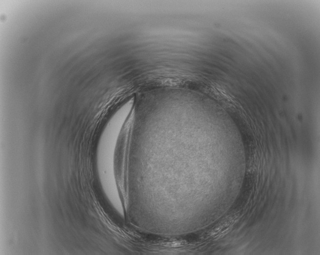 X0000061110646200512091818