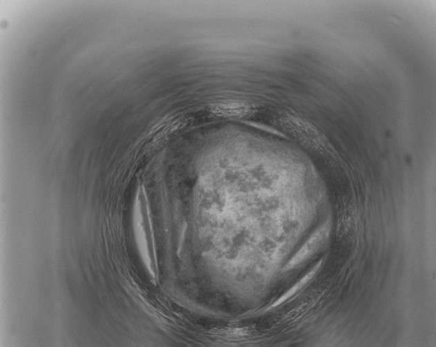 X0000061110647200512091818