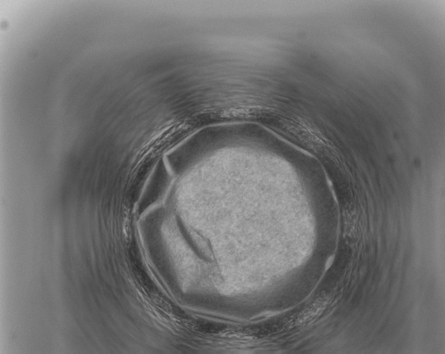 X0000061110648200512091818