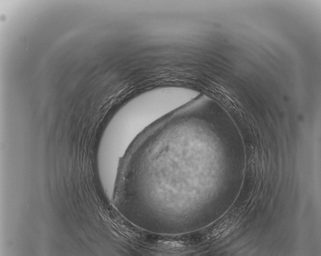 X0000061110649200512091818