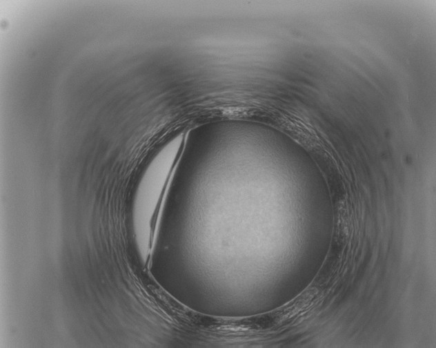 X0000061110650200512091818