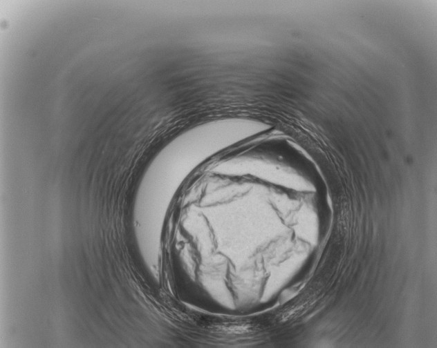 X0000061110651200512091818