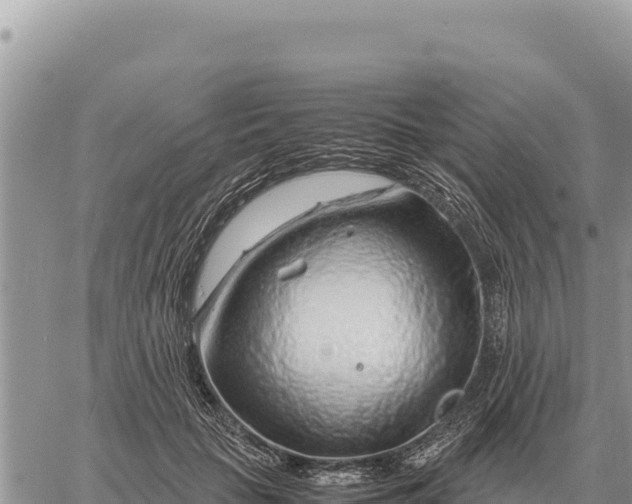 X0000061110653200512091818