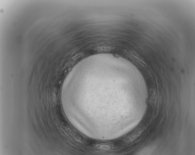 X0000061110655200512091818