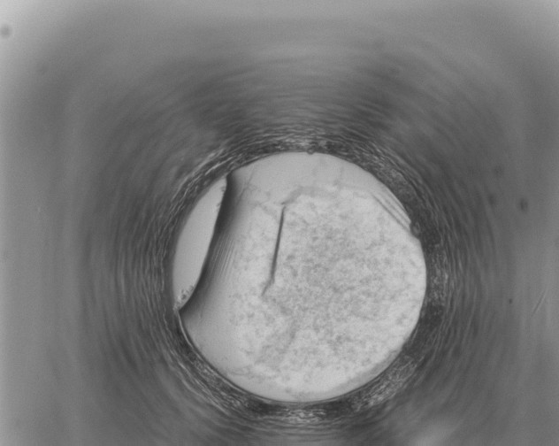 X0000061110656200512091818