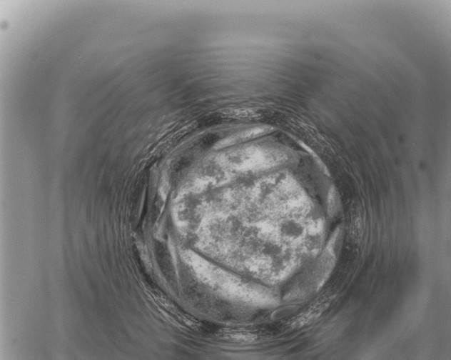 X0000061110658200512091818